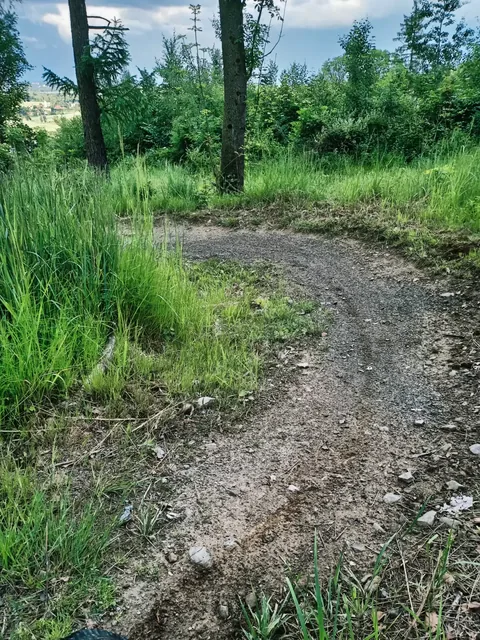 Singletrack - Pętla Różańcowa