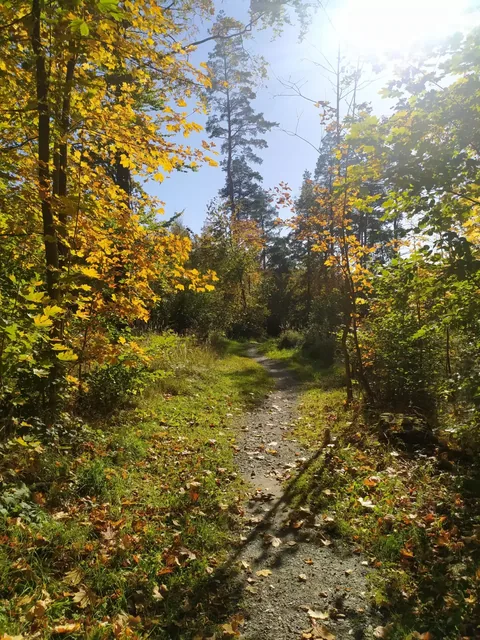 Singletrack - Pętla Różańcowa