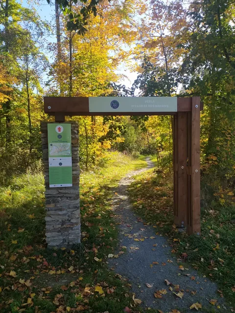 Singletrack - Pętla Różańcowa