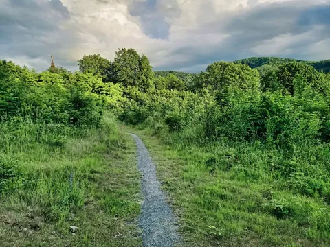 Singletrack - Pętla Różańcowa
