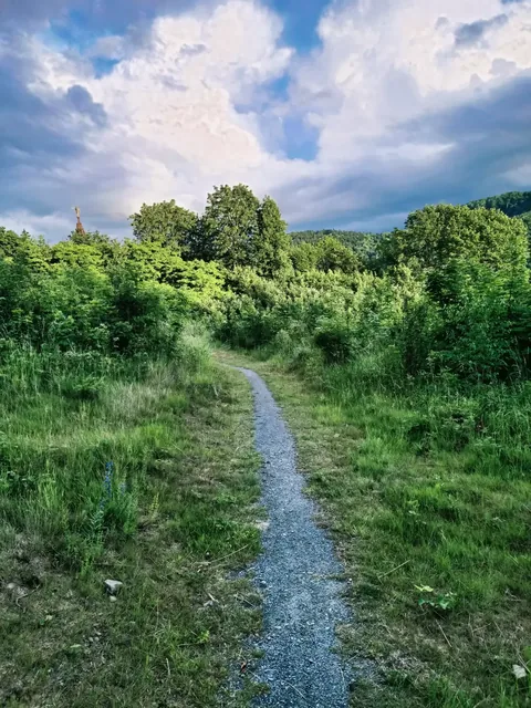 Singletrack - Pętla Różańcowa
