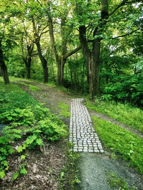 Singletrack - Pętla Różańcowa