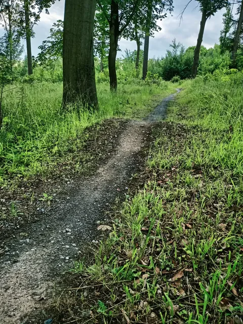 Singletrack - Pętla Różańcowa