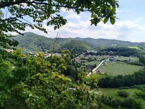 Singletrack - Pętla Hrabiowska