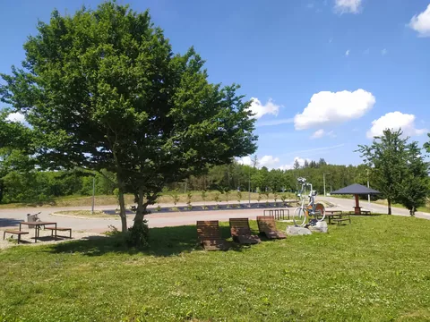Singletrack - Pętla Hrabiowska