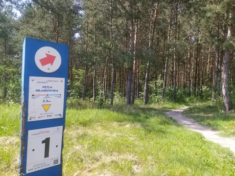 Singletrack - Pętla Hrabiowska