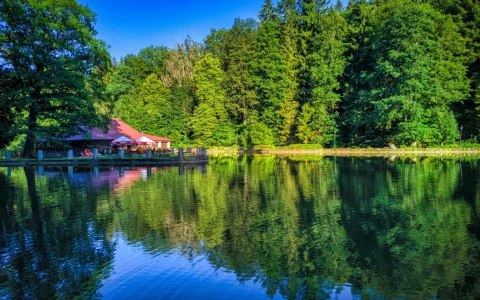 Czarny Staw – Park Czecha Nowickiego — zdjęcie 2