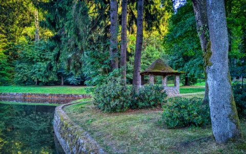 Czarny Staw – Park Czecha Nowickiego — zdjęcie 3