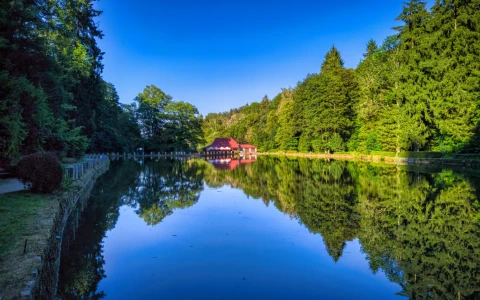 Czarny Staw – Park Czecha Nowickiego — zdjęcie 4