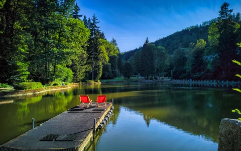 Czarny Staw – Park Czecha Nowickiego — zdjęcie 5