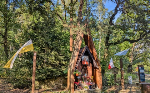 Drewniana Wieża Ornitologiczno-meteorologiczna — zdjęcie 3