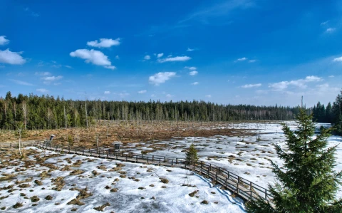 Rezerwat Przyrody Torfowisko pod Zieleńcem — zdjęcie 3