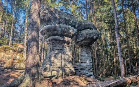 Skalne Grzyby w Górach Stołowych — zdjęcie 3