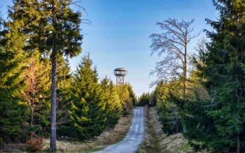 Wieża Widokowa na Jagodnej — zdjęcie 2