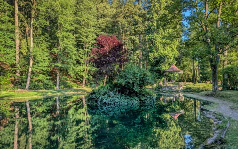 Zielony Staw – Park Denglera — zdjęcie 2