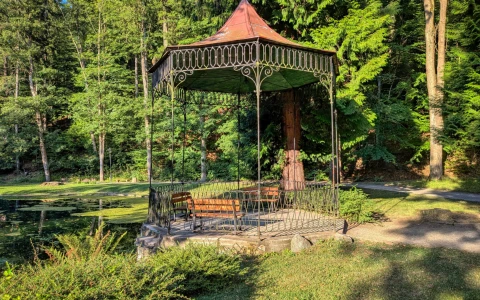Zielony Staw – Park Denglera — zdjęcie 3