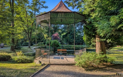 Zielony Staw – Park Denglera — zdjęcie 4