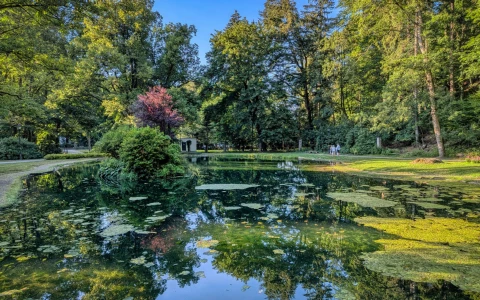 Zielony Staw – Park Denglera — zdjęcie 5