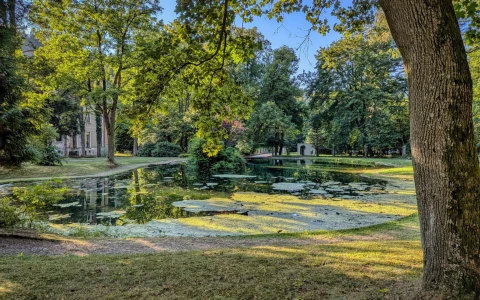 Zielony Staw – Park Denglera — zdjęcie 6