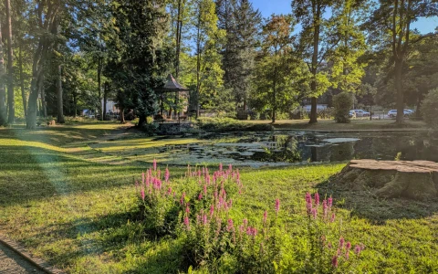 Zielony Staw – Park Denglera — zdjęcie 7