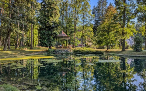 Zielony Staw – Park Denglera — zdjęcie 8